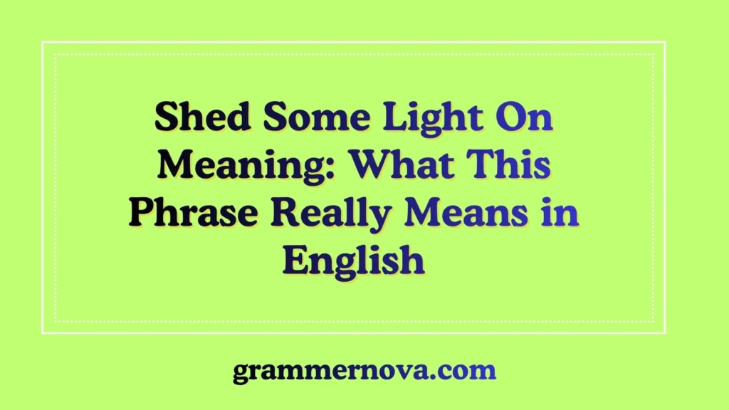 Shed Some Light On Meaning: What This Phrase Really Means in English
