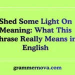 Shed Some Light On Meaning: What This Phrase Really Means in English